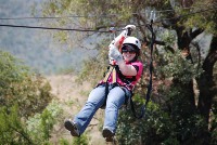 Zipline Swing Hartebeespoort Dam from R380 per person  | Gauteng Safari Lodge